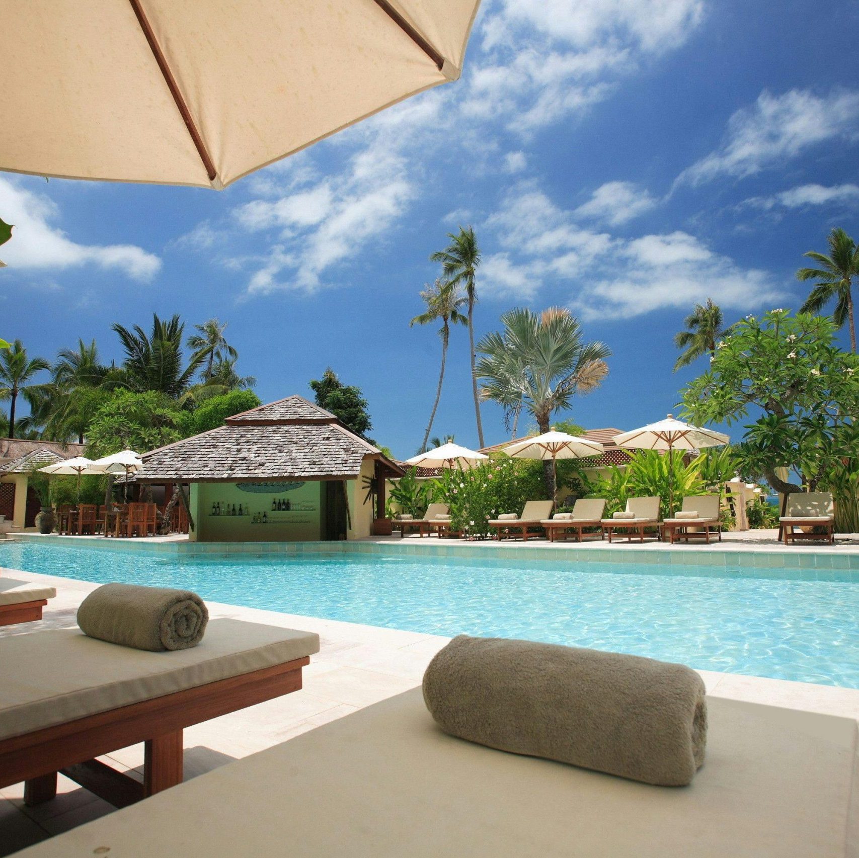 Experience ultimate relaxation at a sunlit tropical poolside resort featuring palm trees and blue skies.